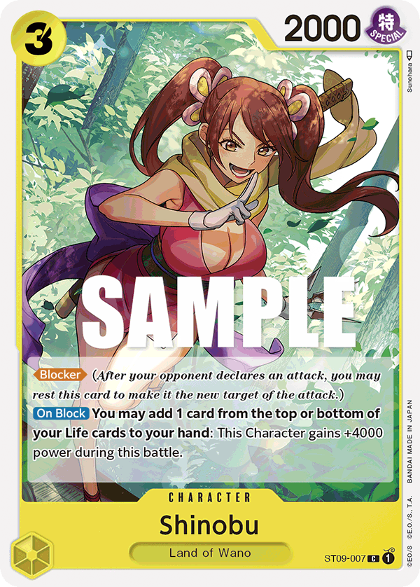 ST09-007