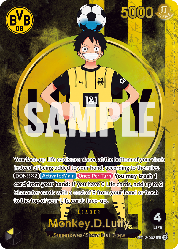 ST13-003_p2