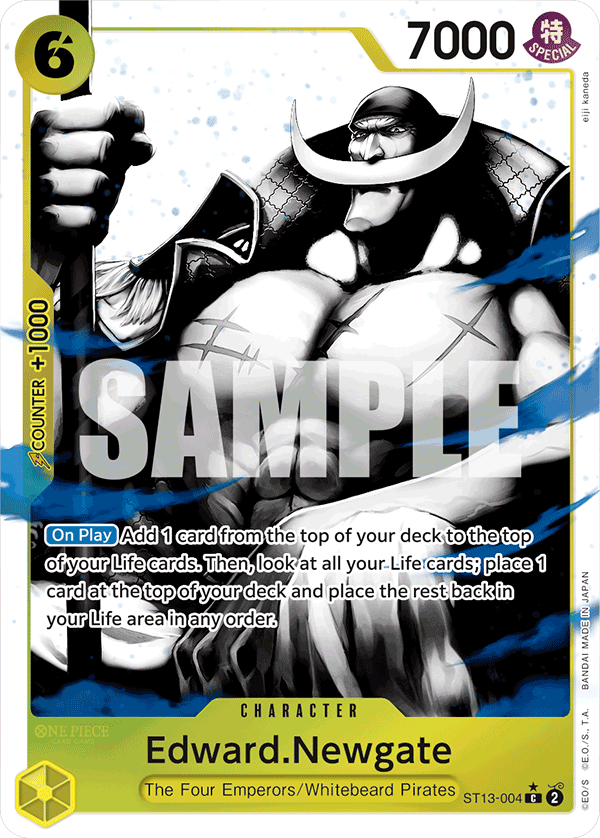 ST13-004_p1