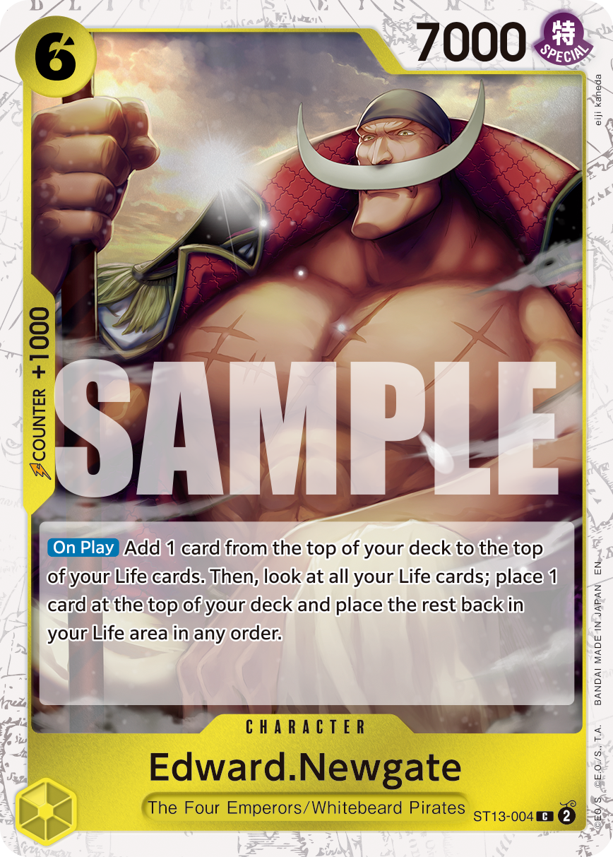 ST13-004_p2