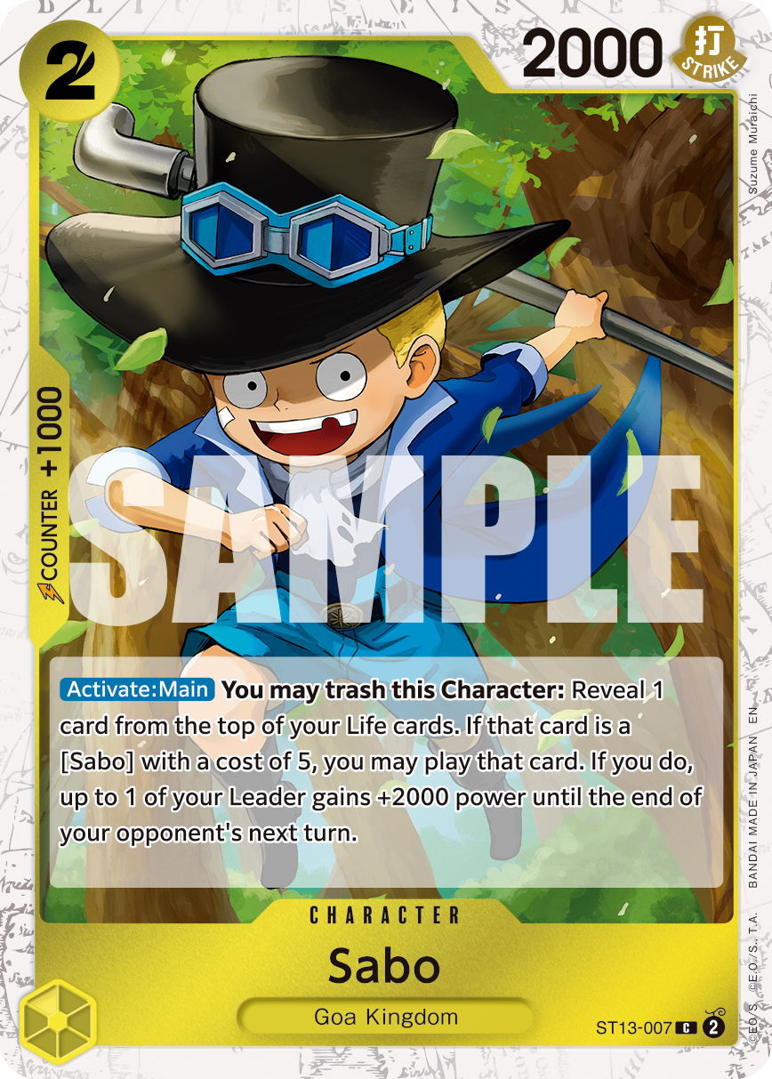 ST13-007_p2