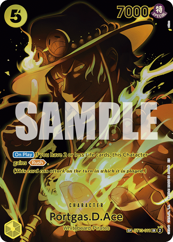 ST13-011_p2