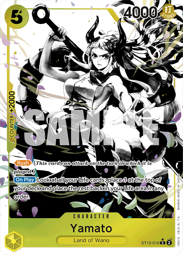 ST13-016_p1
