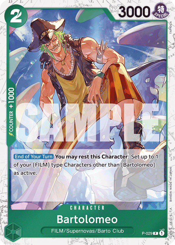 P-029_p3