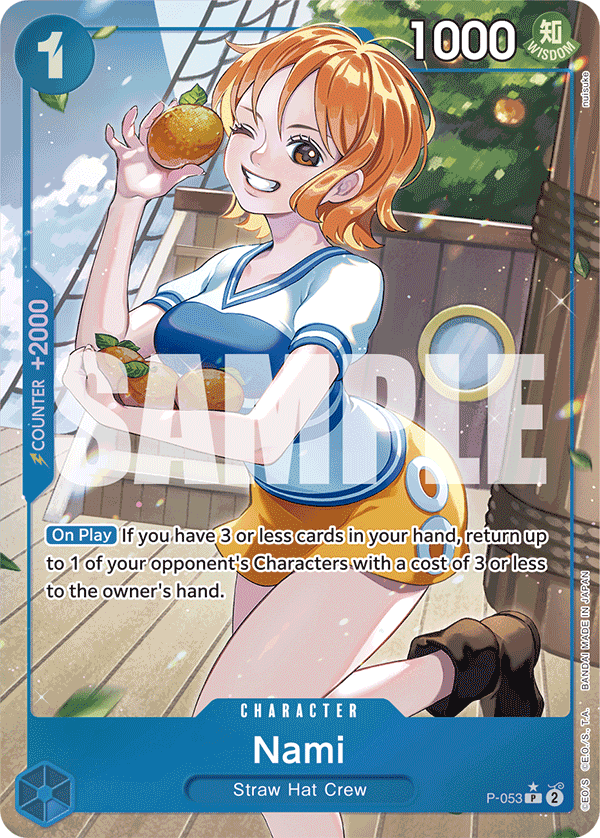 P-053_p3