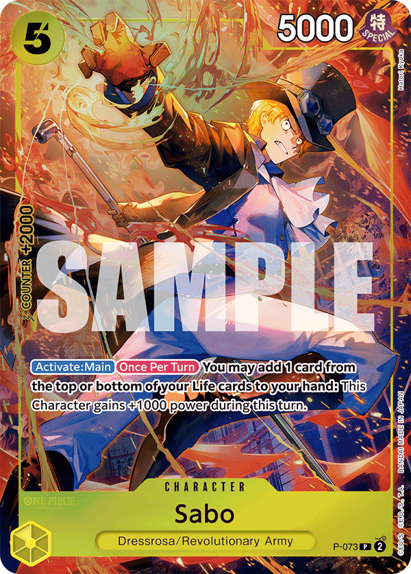 P-073_p1
